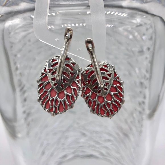 Rare Himalayan Agate Silver Earrings - Picture 3 of 13